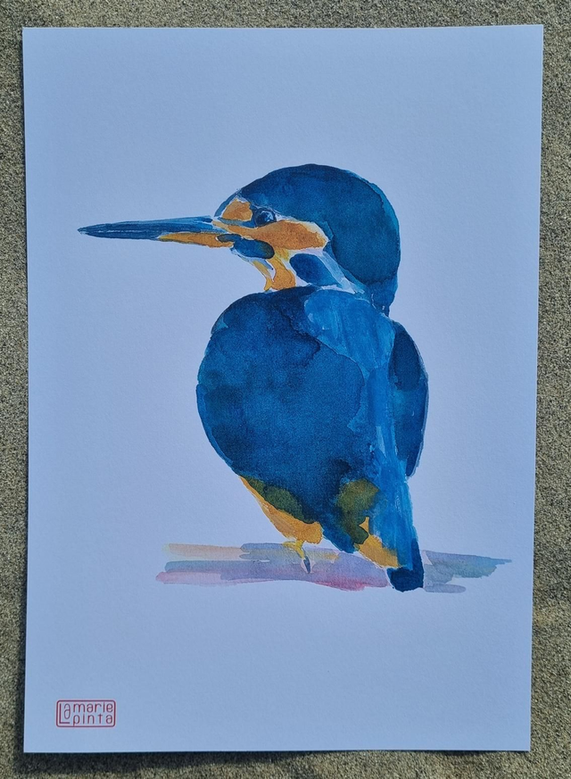 Martin pêcheur à partir de 4€