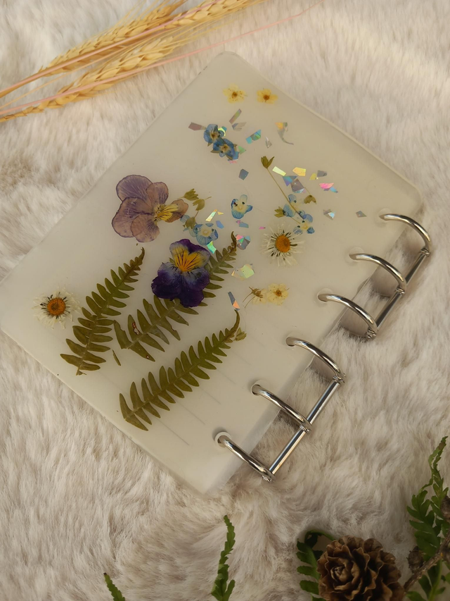 Carnet la vie est belle