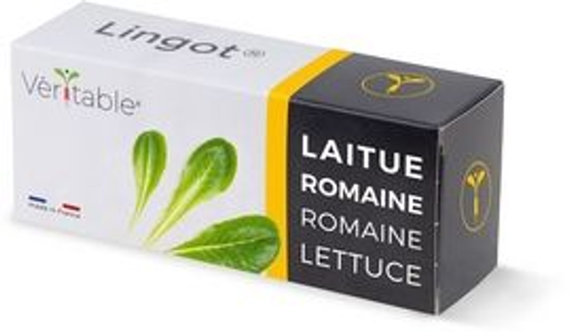 Véritable Lingot Romaine Lettuce
