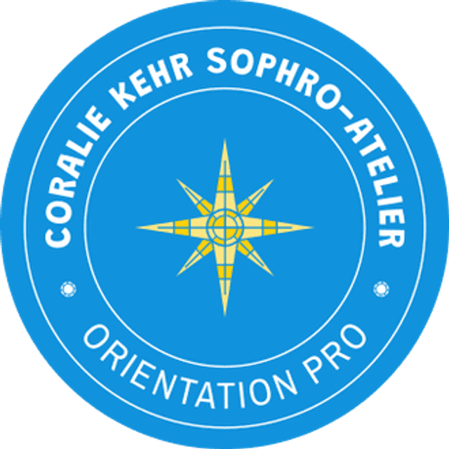 1 SOPHRO ORIENTATION PROF. (CHAMBERY (ou EVIAN 1 samedi/mois) Adulte-Ado ATELIER INDIVIDUEL 3h30 - (prix par personne - Professionnels sur devis)