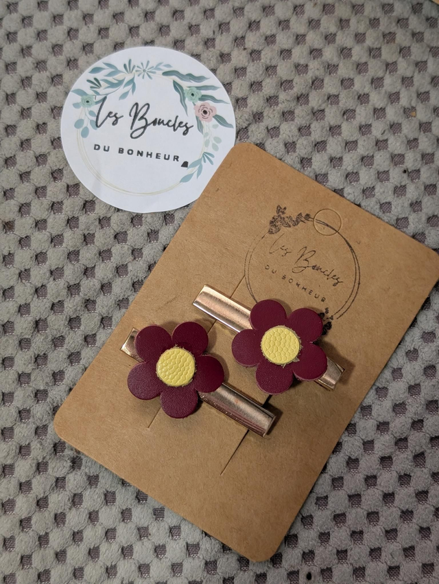 Barrette b008
