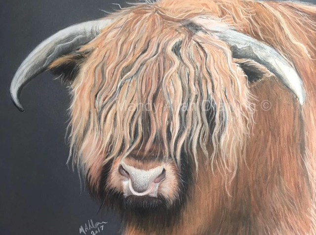 &quot;Highland Bull at Abbots Reading&quot; Original Drawing 