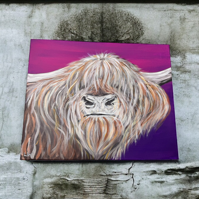 Highland Cow on Purple