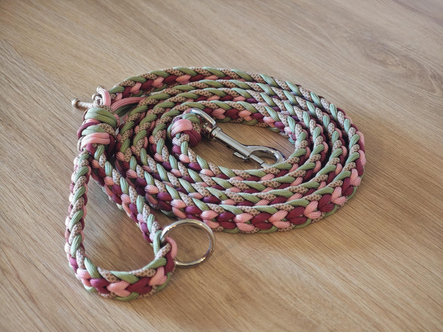 Laisse unique de tressage paracorde de 1,70m de longueur