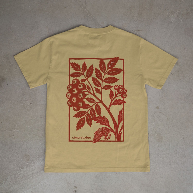 Rowan (Mountain Ash) tree