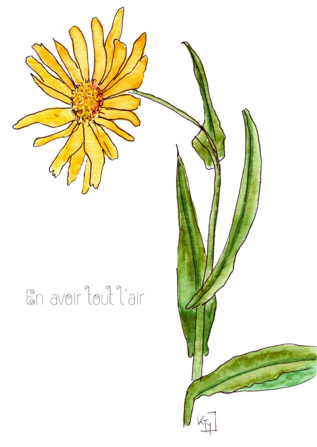 Séneçon "En avoir l'air"