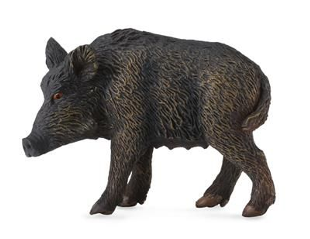 Collecta 88364 truie sauvage 