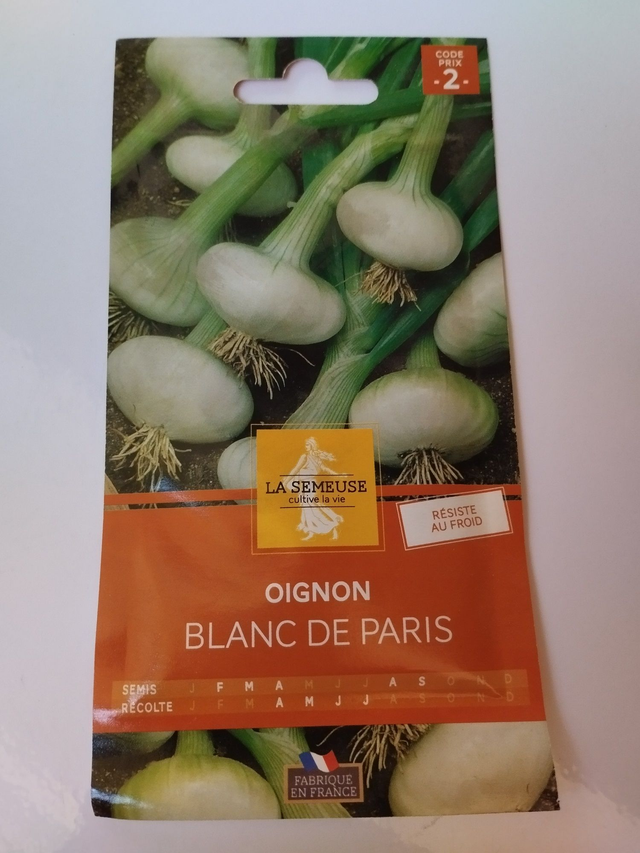 Oignon Blanc de Paris