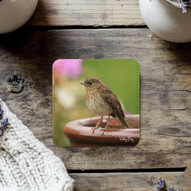 “Baby Robin” Coaster  