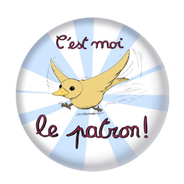 Magnet "C'est moi le patron"
