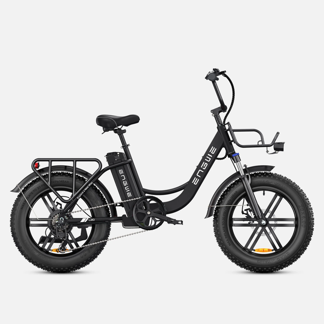 Engwe L20 Electric Bike - Black 