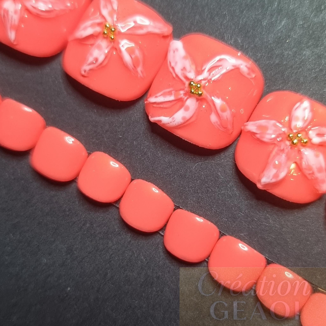 Corail sun flower little pieds