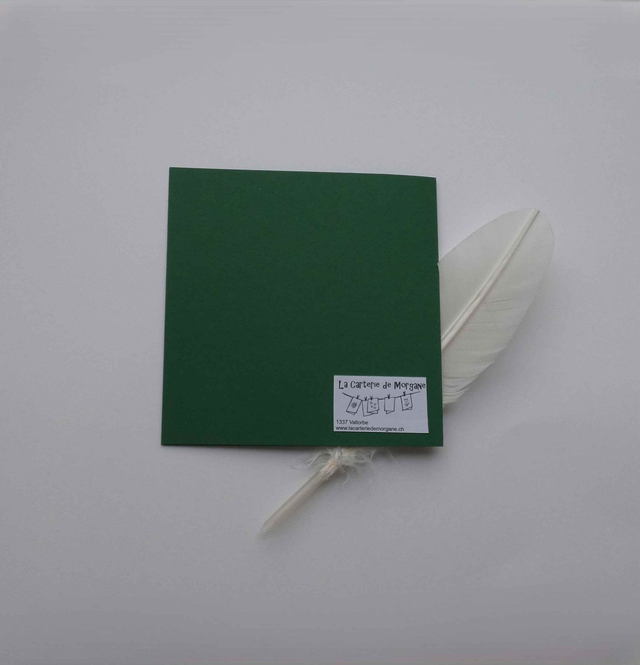 Bonne année en vert