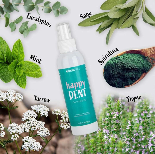 Happy Dent dental spray 150ml