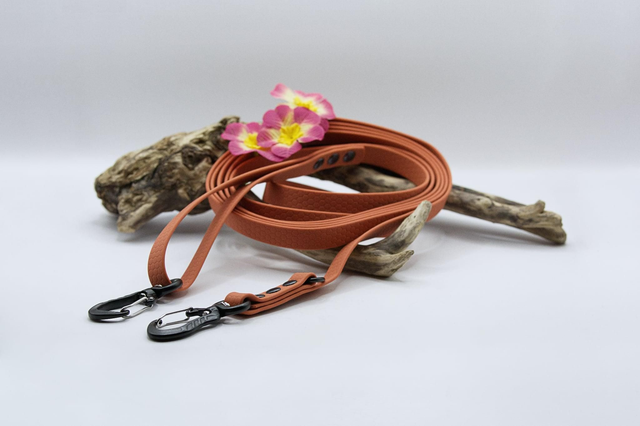 Laisse Hexa 2 positions – Ville &amp; promenades (pour les chiens de moins de 15 kg)