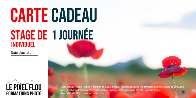 STAGE 1 JOUR EN INDIVIDUEL