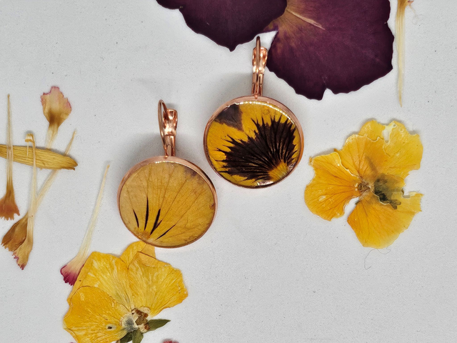 Boucles d&#039;oreilles