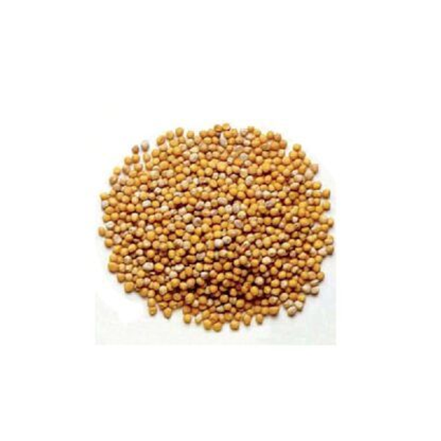 Mostaza Amarilla Grano