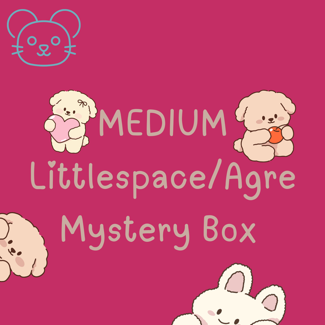 Medium Little Mystery Box