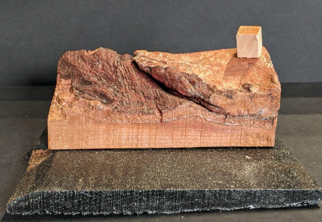 Maison dans la dune.