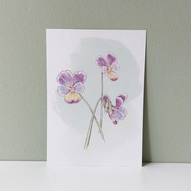 kaart [bloemen] viooltjes
