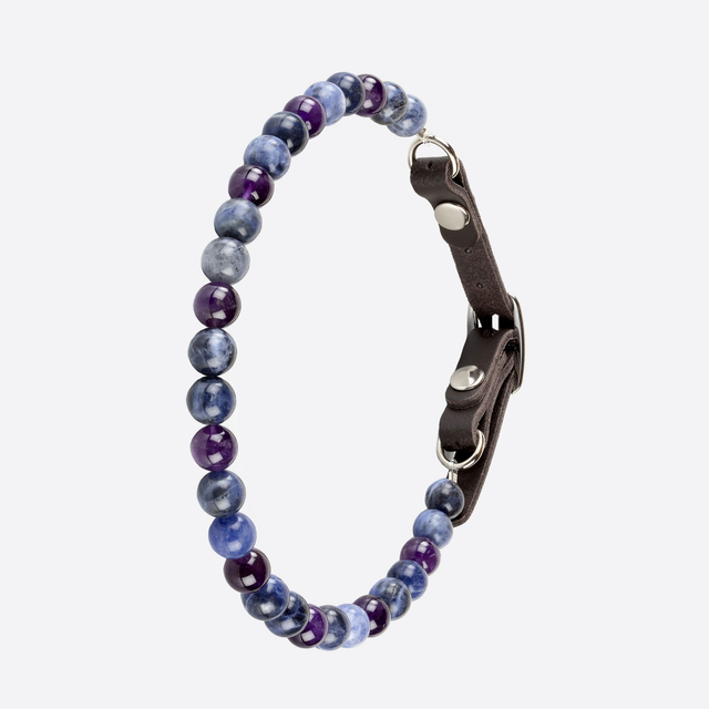 Collier chien anxieux