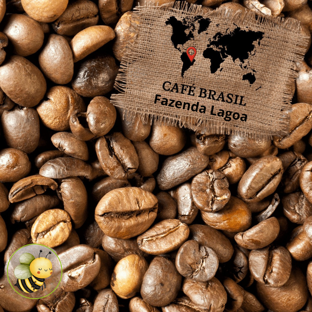 Café Premium Brasil Fazenda Iagoa 