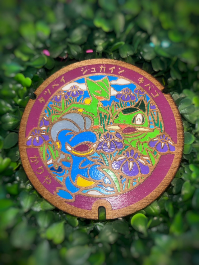 Plaque Pokémon Draby, jungko et coupenote.