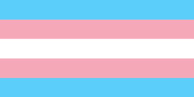 XL Fleece Trans Flag (Single Layer)