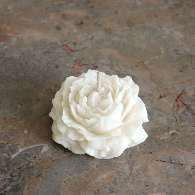 Bougie moulée pivoine