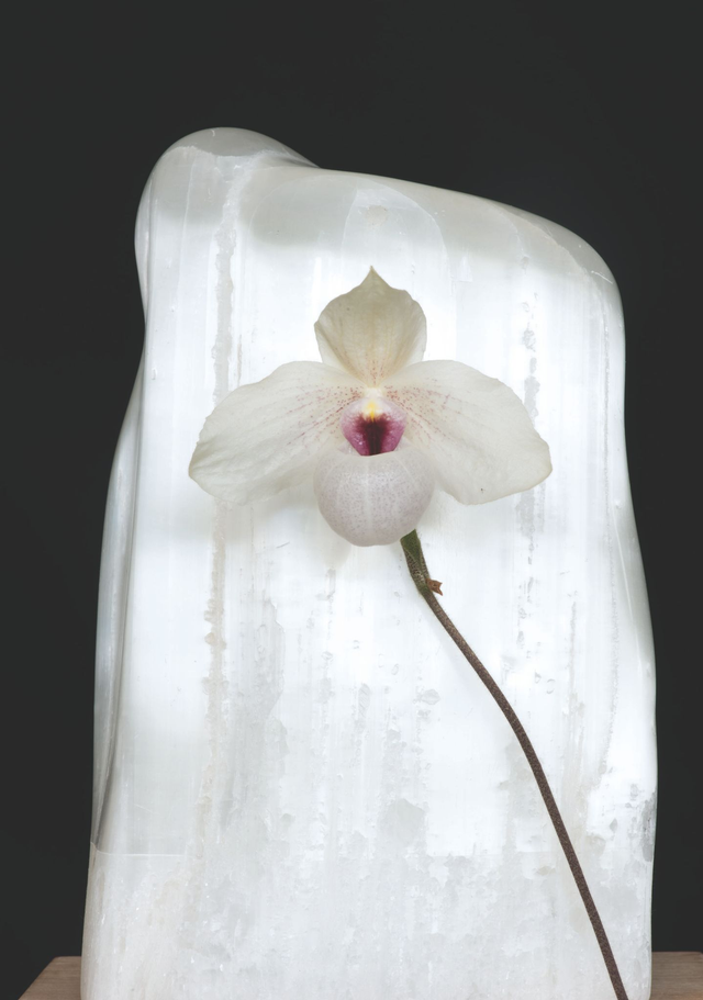 Orchid Air Element Essence