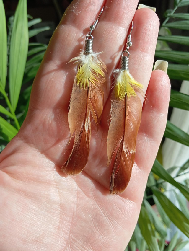 Boucles en plumes 