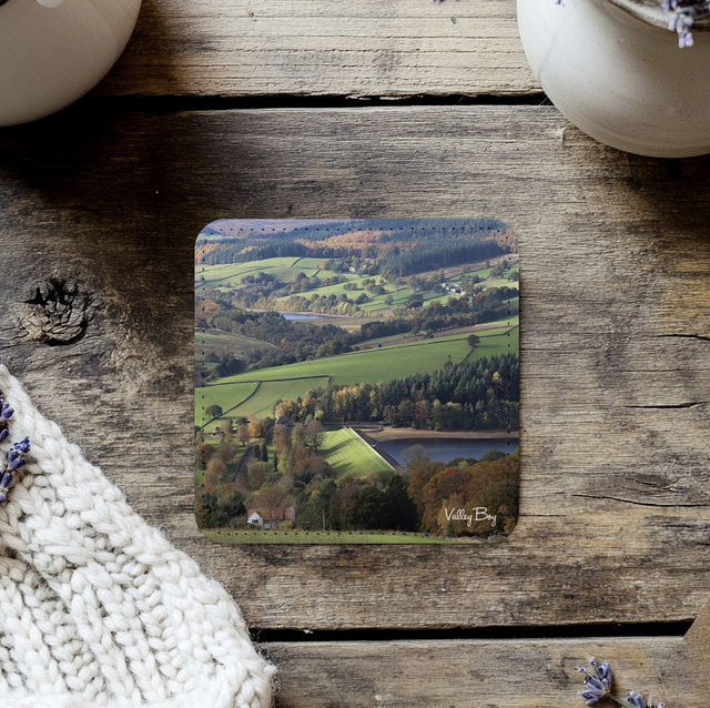 “Bradfield” Coaster  