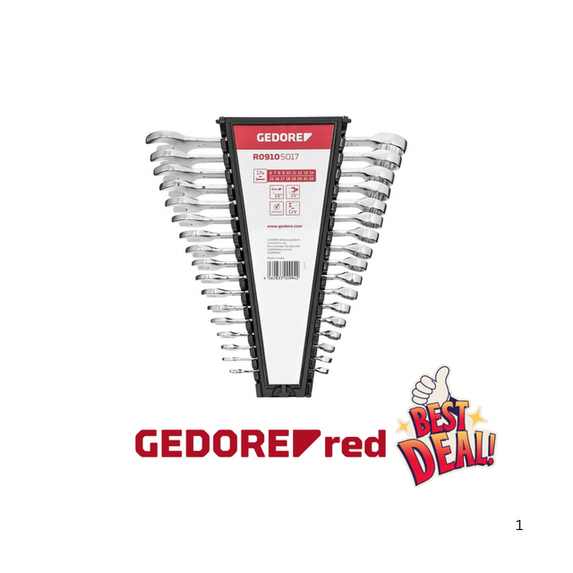 Gedore R09105017 RingmaulschSatz 6-22 mm 17-teilig