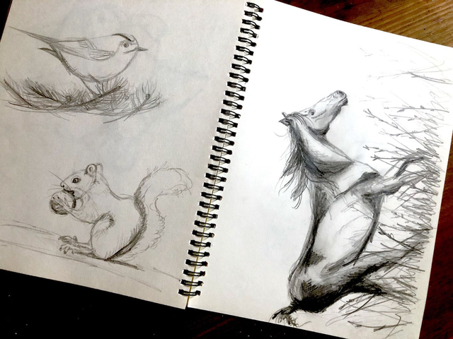 01- 10/01/26 Learn how to draw animals for adults