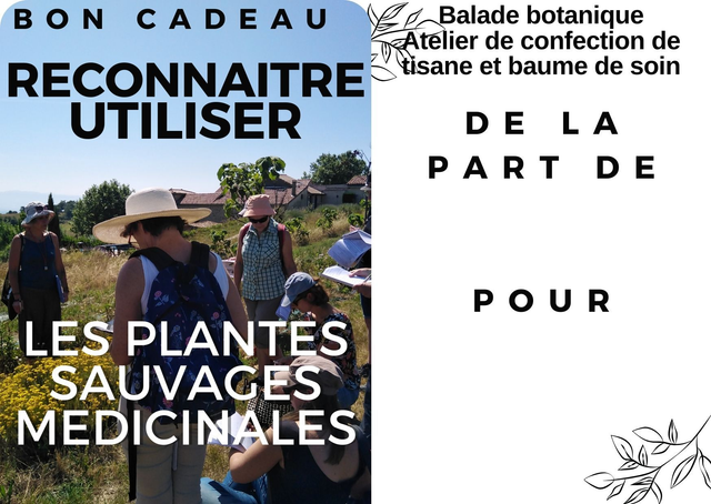 Bon Cadeau Balade-atelier