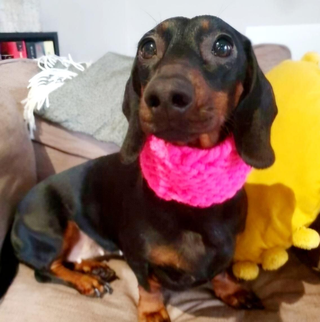 Handmade chunky knit snood