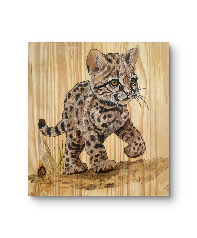 Tableau Margay