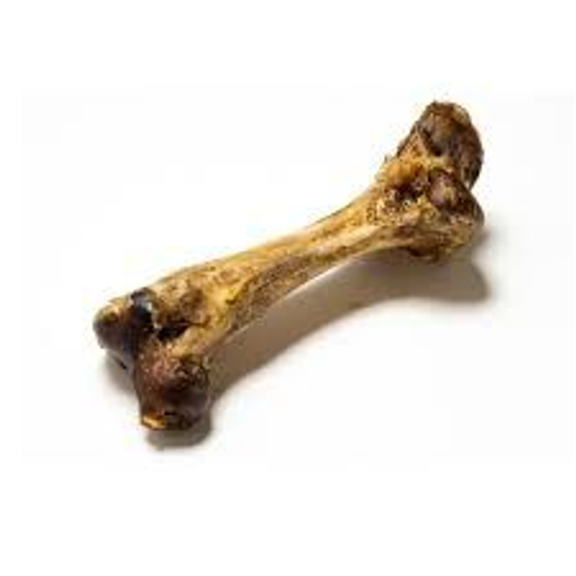 Jumbo Ostrich Bone