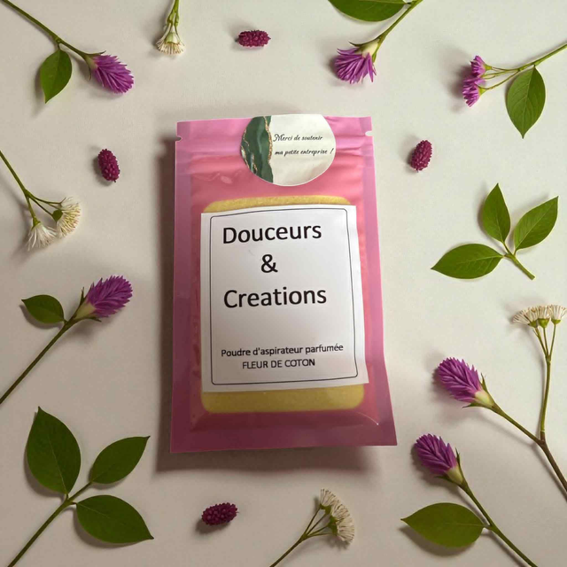 Poudre aspirateur 50 gr