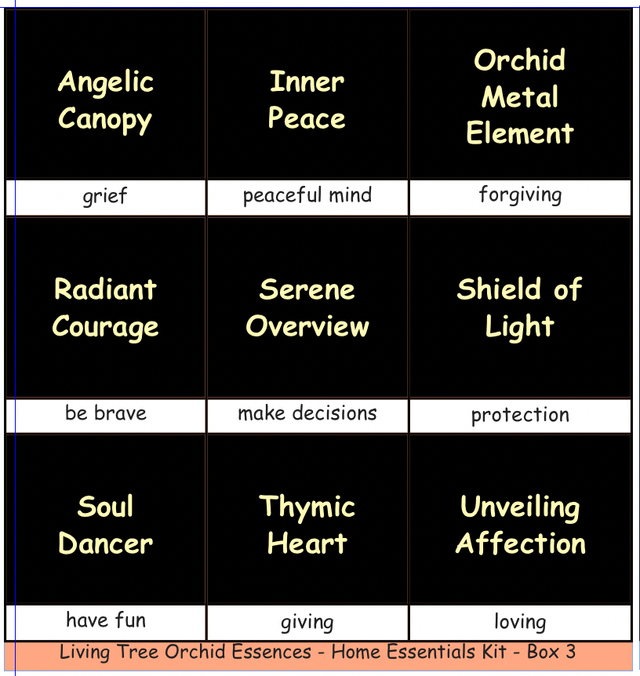 Home Essentials Kit 3 - 9 essences