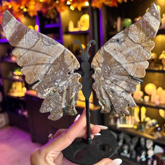 Ocean Jasper Butterfly Wings R57H20