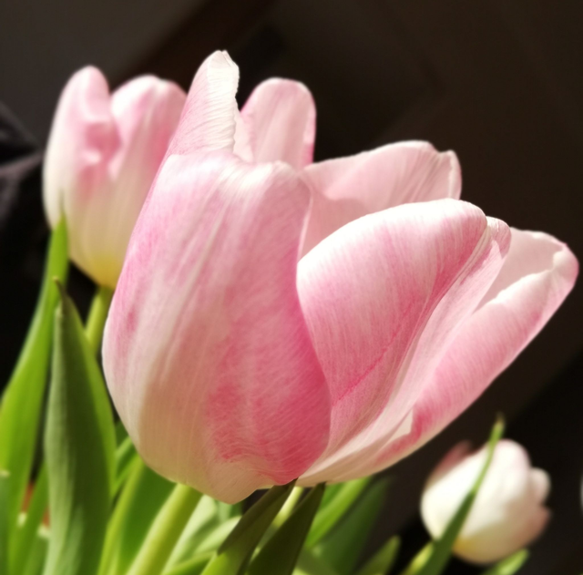 Easter Table Centrepiece - Friday 27 March, 10am