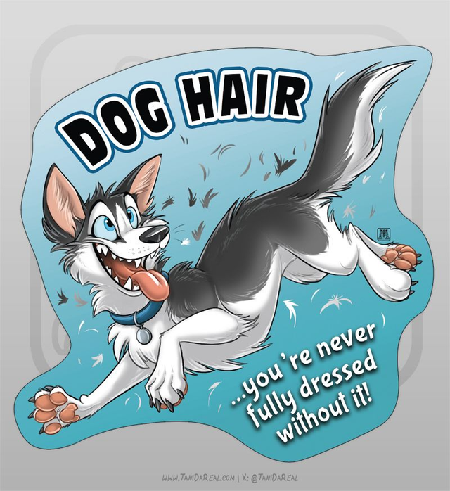 Dog Hair Sticker