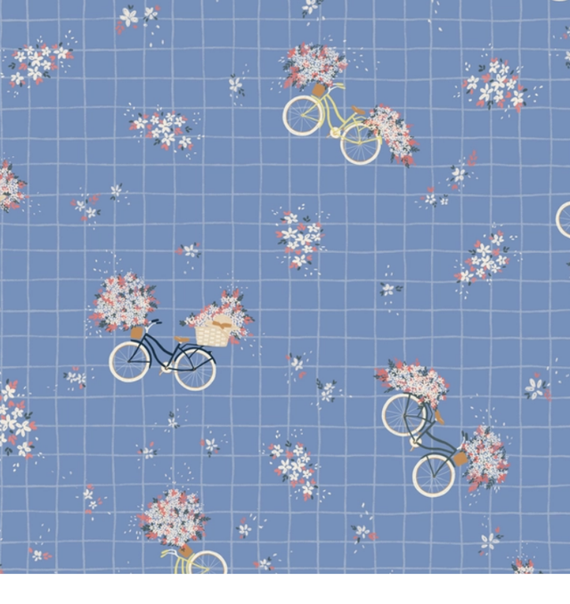 Bicyclette ciel - Lise Tailor