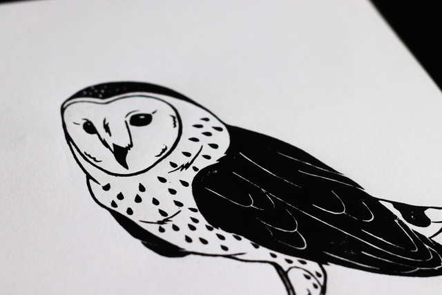 Linogravure A4 Chouette Effraie