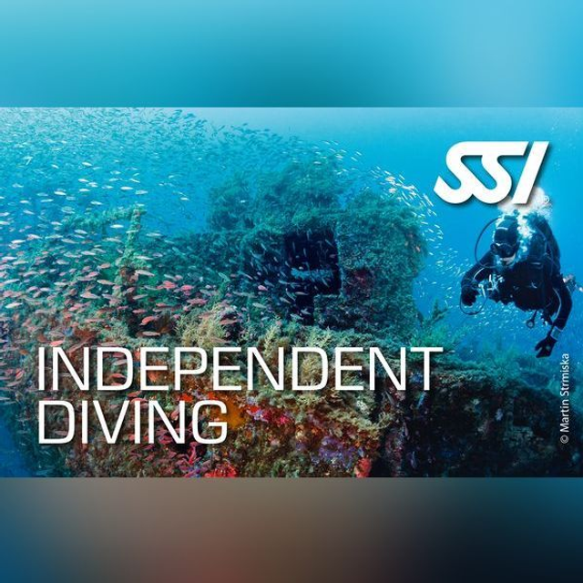 Indipendent Diving