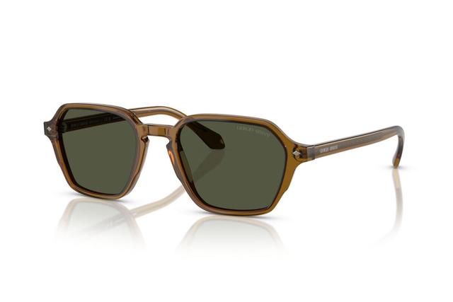 Eyewear Man Giorgio Armani  AR 8220 617231