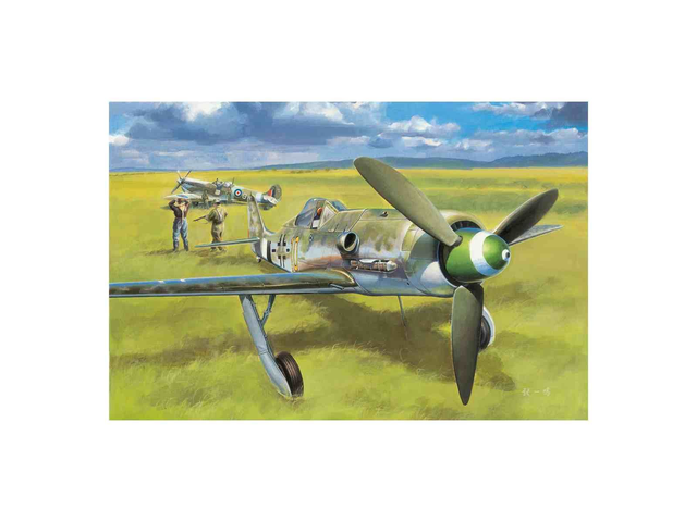 Focke-Wulf FW190D-13 - hobbyboss 81721 1/48