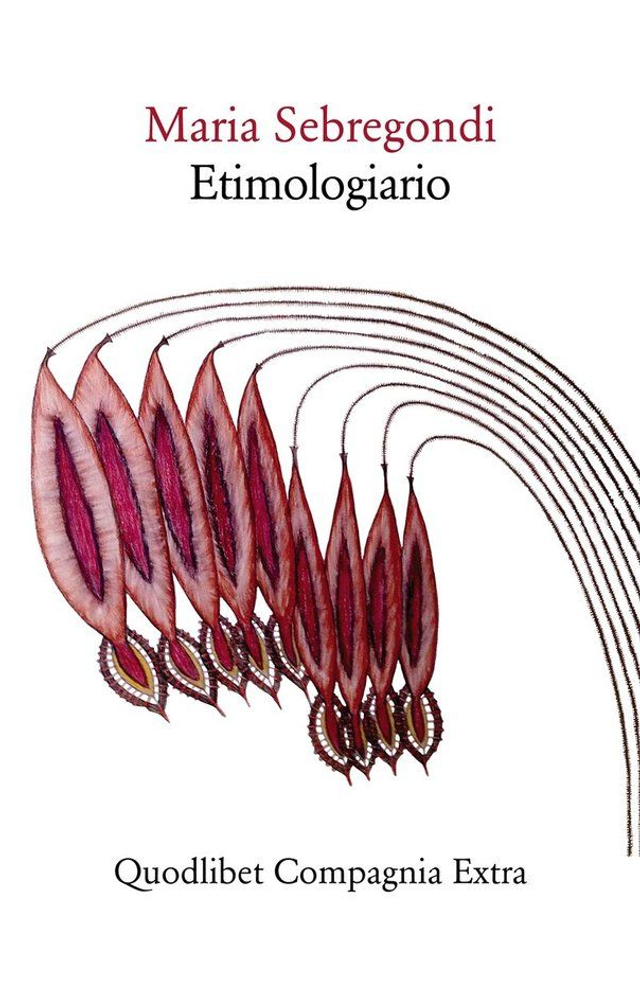 Sebregondi Maria - Etimologiario